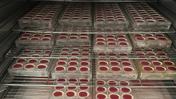 Chocolade Pasen Choc'Lat Port